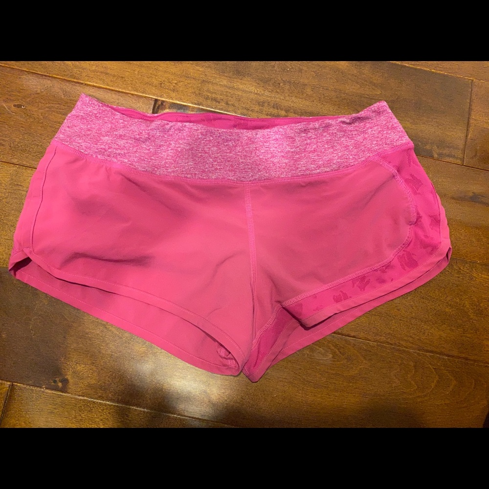 Run in rabbit catch me if you can